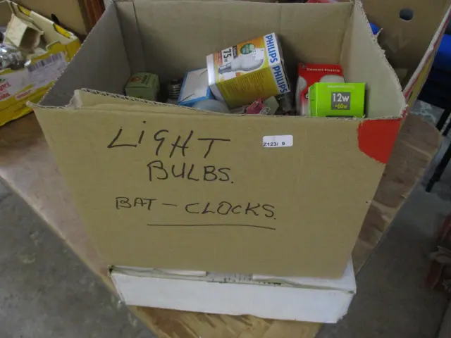 Bulbs and Alarm Image 1++
