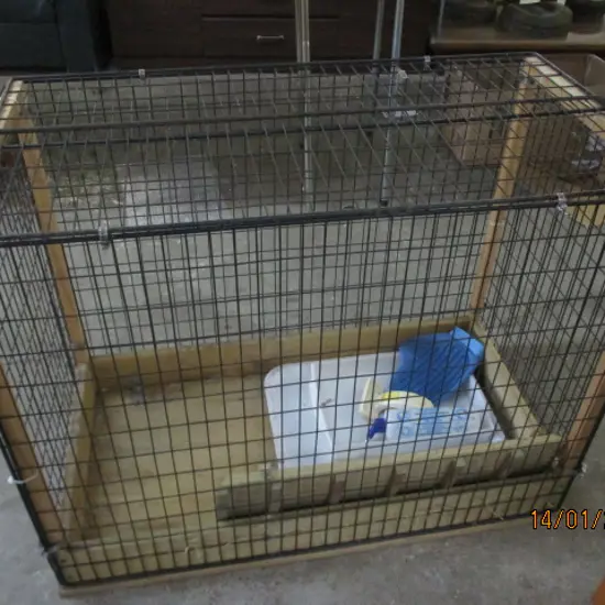 Pet Cage