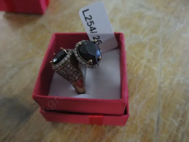Ring Image 1++