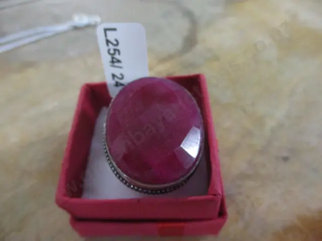 Ring Image 1++