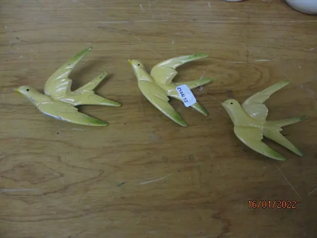 Wall Birds Image 1++