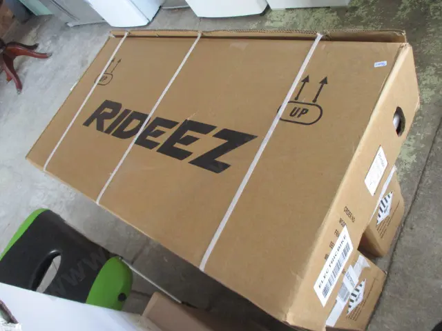 Rideez Electric Bike Image 1++
