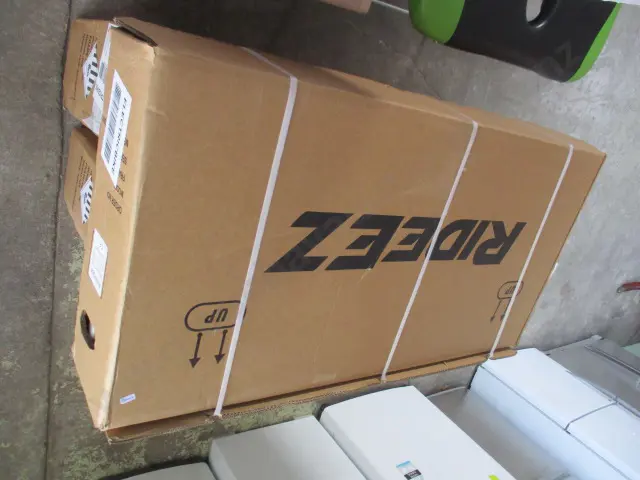 Rideez Electric Bike Image 1++