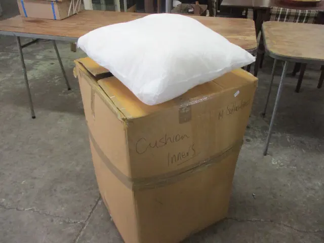 Cushion Inners Image 1++