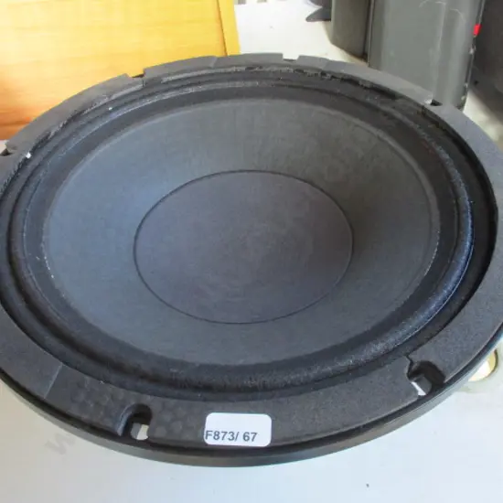 Speaker