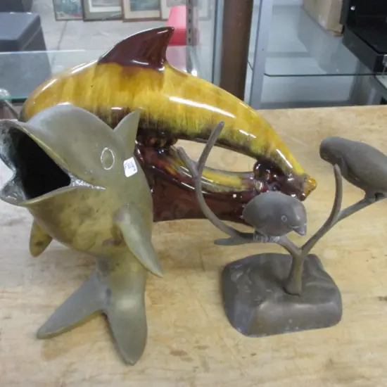 Dolphins and Birds