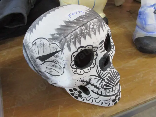 Skull Image 1++