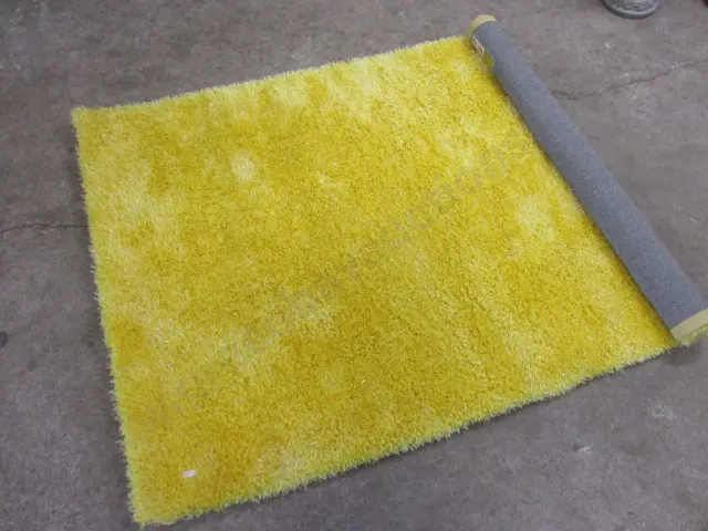 Rug  Image 1++