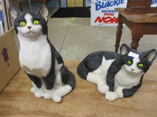 Cats Image 1++