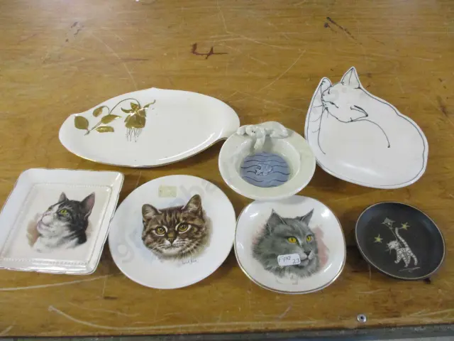 Cats Image 1++