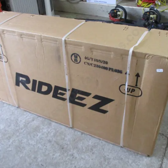 Electric Bike