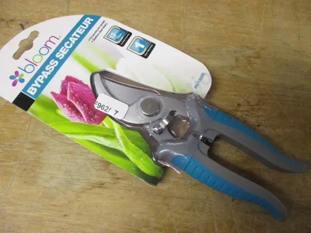 Pruner Image 1++