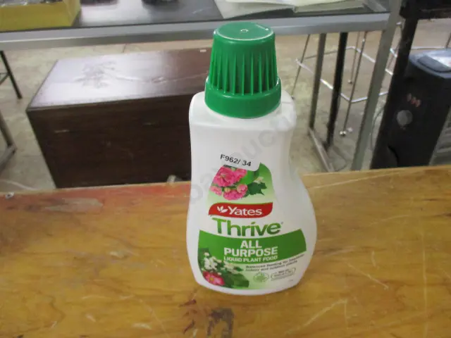 Thrive Image 1++