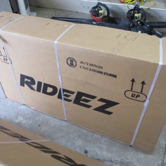 Electric Bike