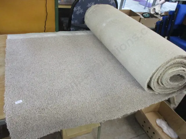 Carpet Offcut Image 1++