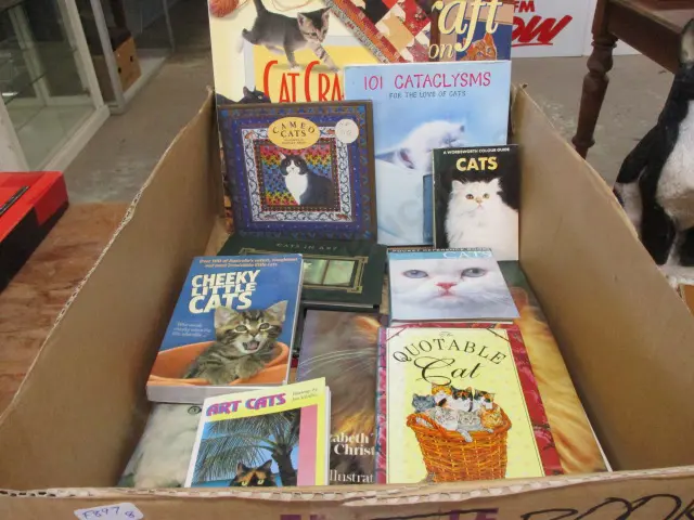 Books Image 1++