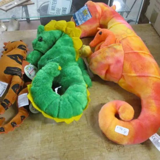 Seahorses