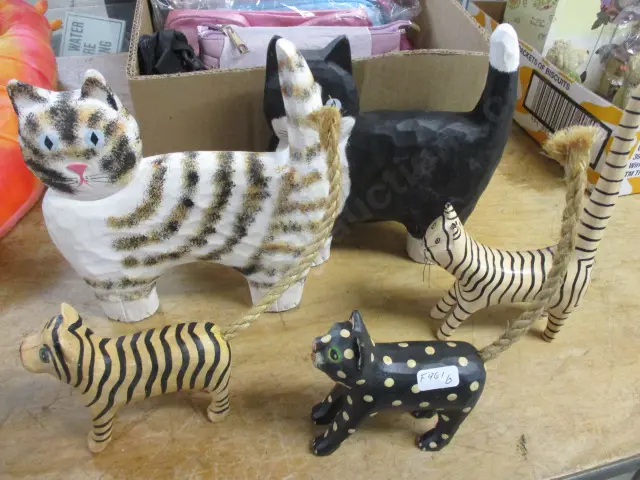 Cats Image 1++