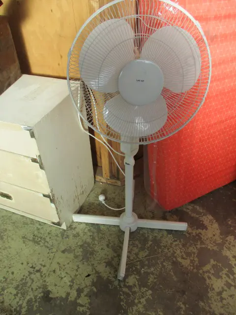 Fan Image 1++