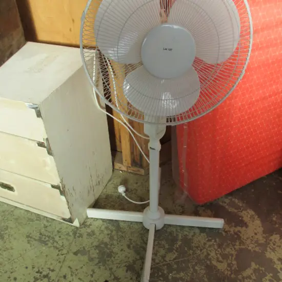 Fan