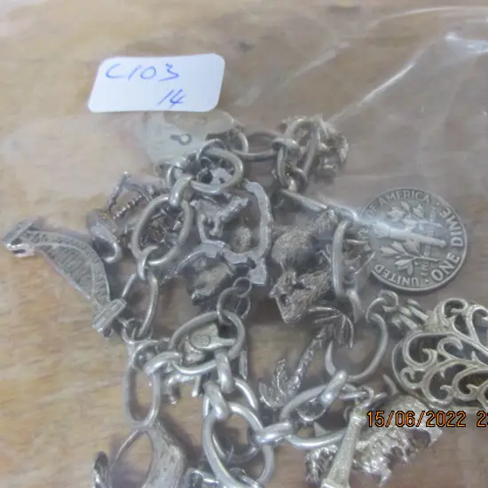 Silver Charm Bracelet