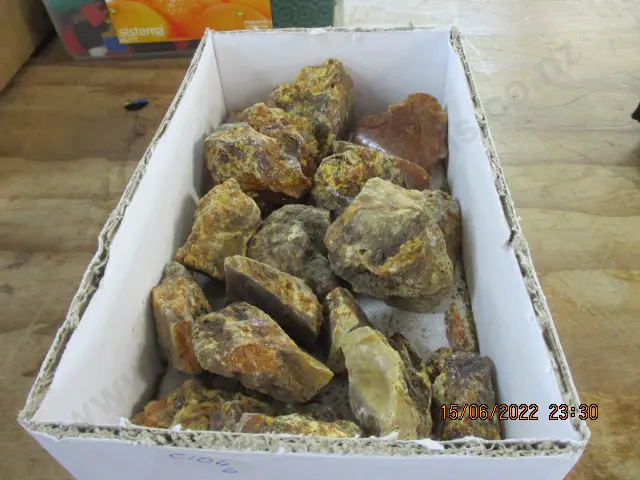 Kauri Gum Image 1++
