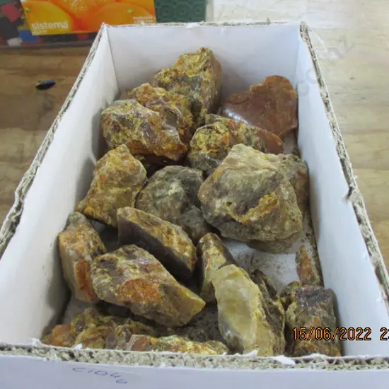 Kauri Gum