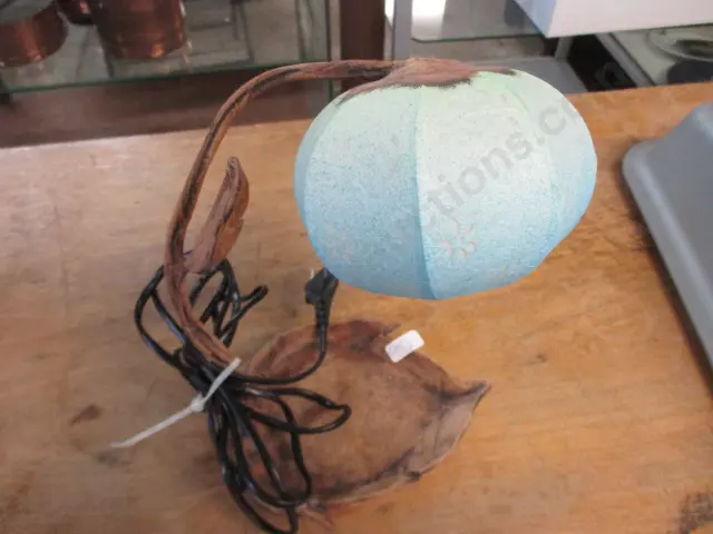 Lamp Image 1++
