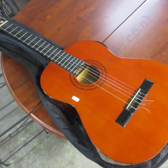 Guitar