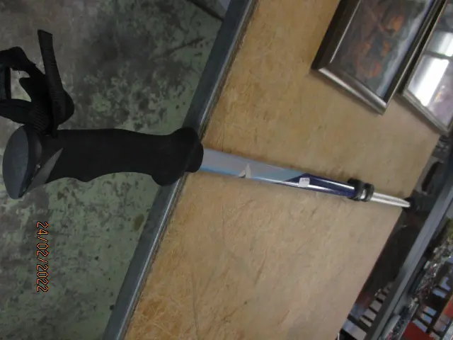 Walking Stick Image 1++