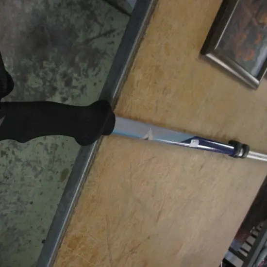 Walking Stick