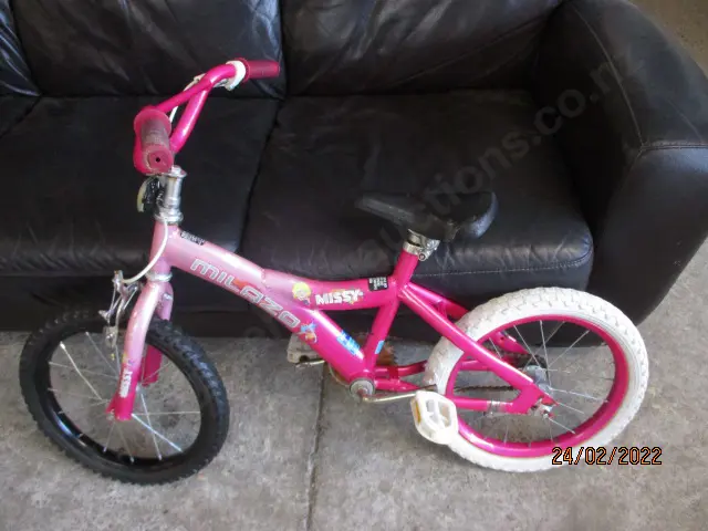 Kids Bike Image 1++
