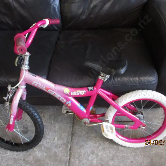 Kids Bike