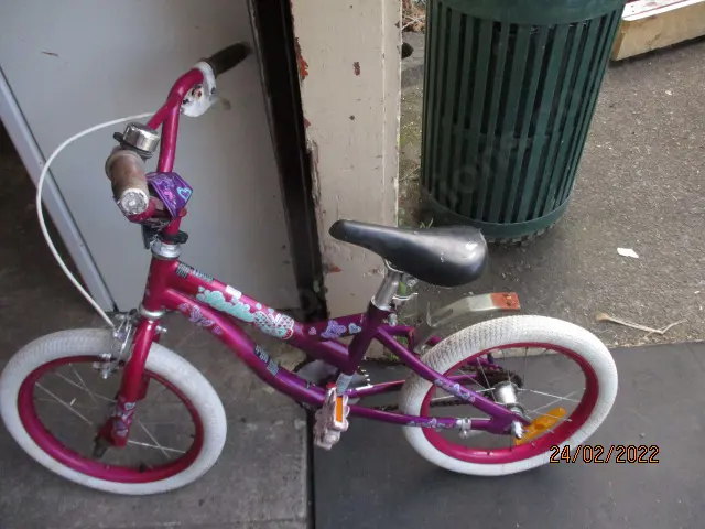 Kids Bike Image 1++