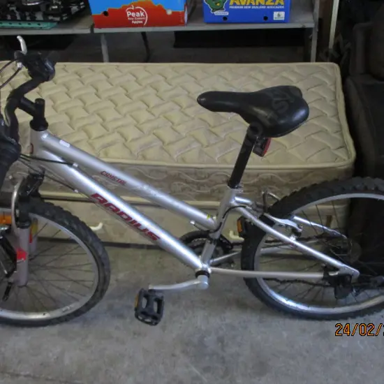 Girls Bike