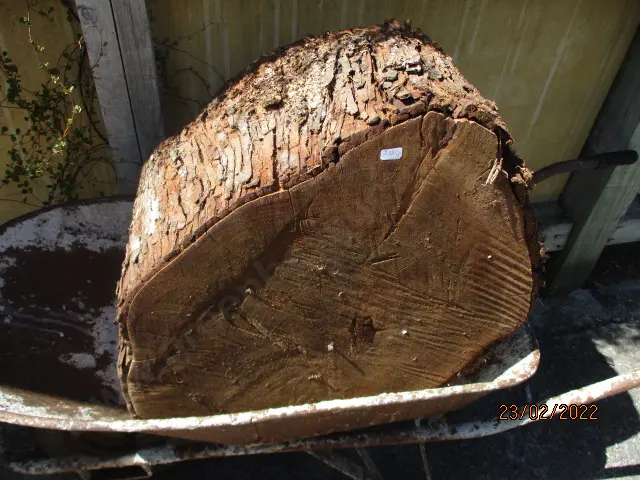 Log Image 1++