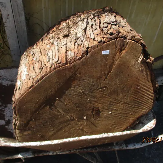 Log