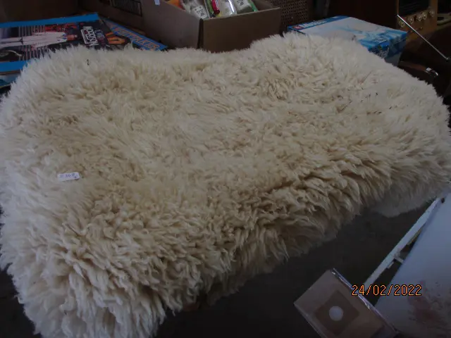 Sheepskin Image 1++