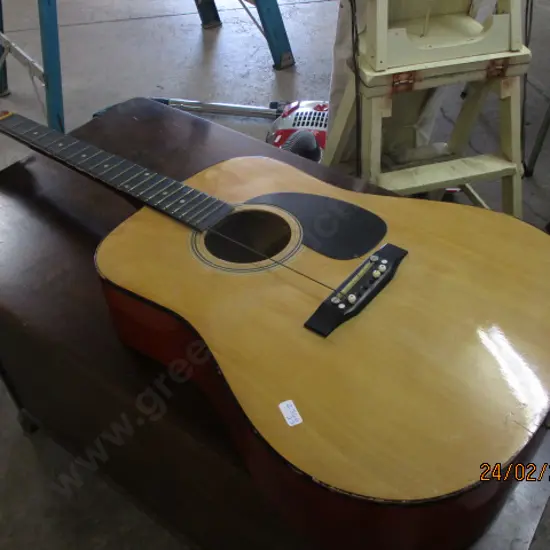 Guitar