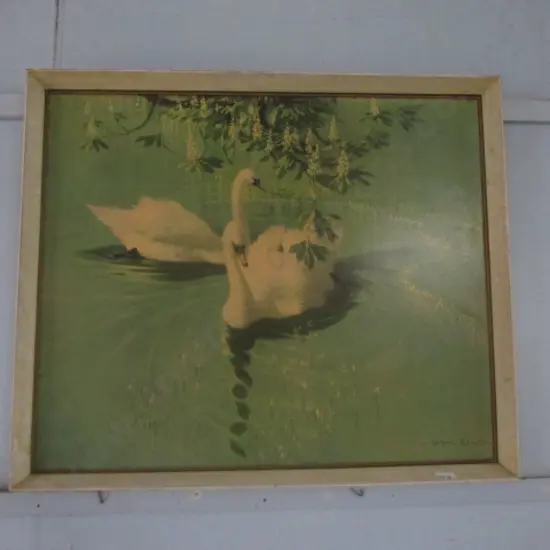 Vernon Ward Print