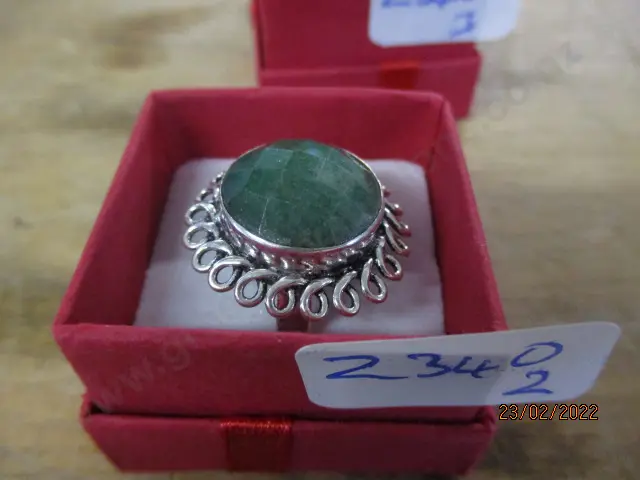 Ring Image 1++
