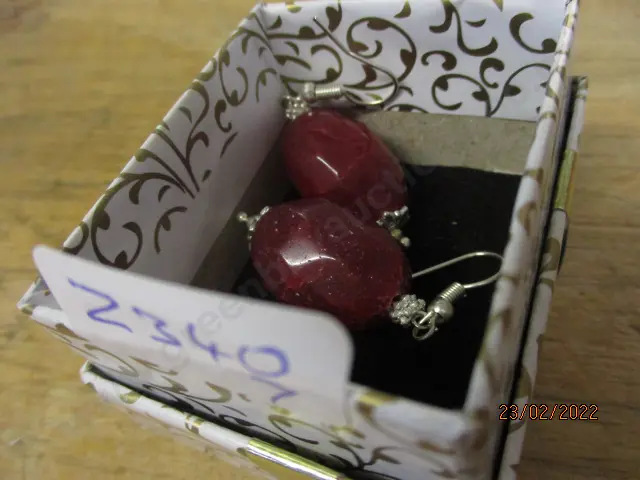 Earrings Image 1++