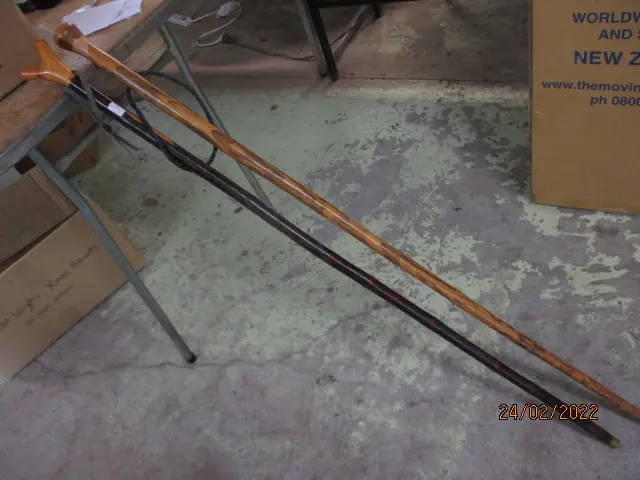 2 Walking  Sticks Image 1++
