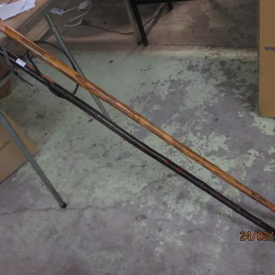 2 Walking  Sticks