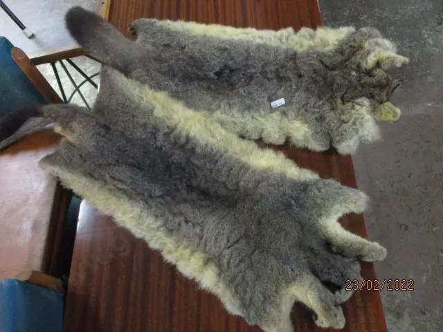 2 Posum Skins Image 1++