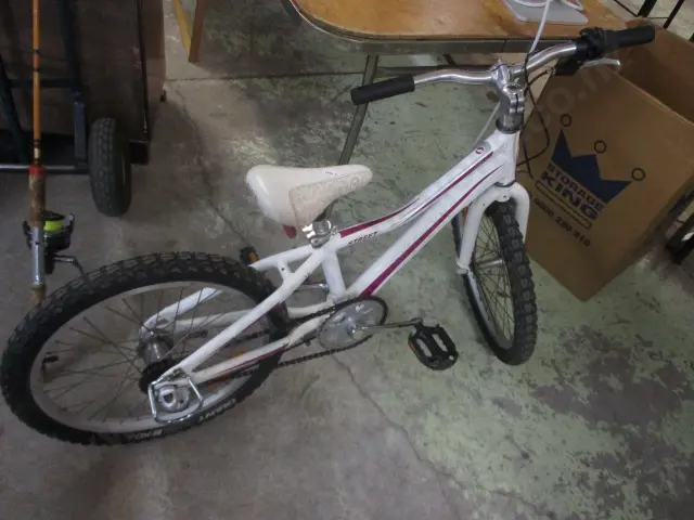 Giant Bike Image 1++