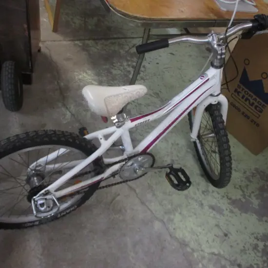 Giant Bike