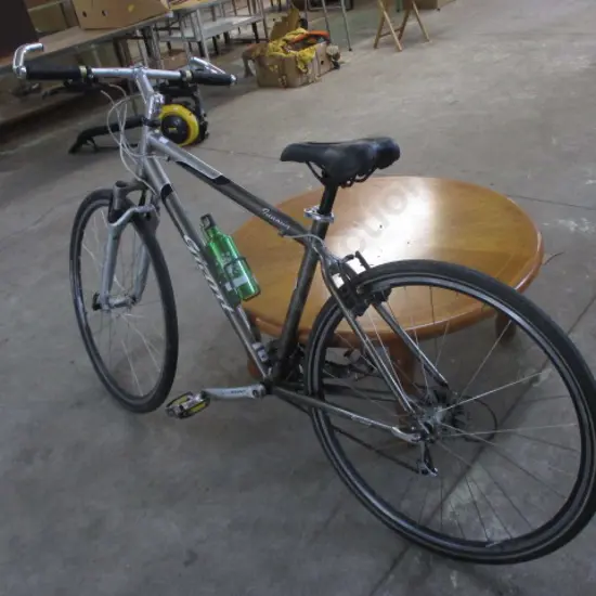 Giant Bike