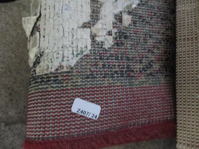 Rug Image 1++
