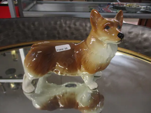 Eng Corgi Image 1++